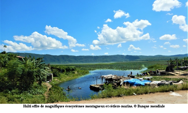 Résilience des infrastructures : Comment les solutions fondées sur la nature peuvent améliorer l'infrastructure de transport ? Leçons d'Haïti